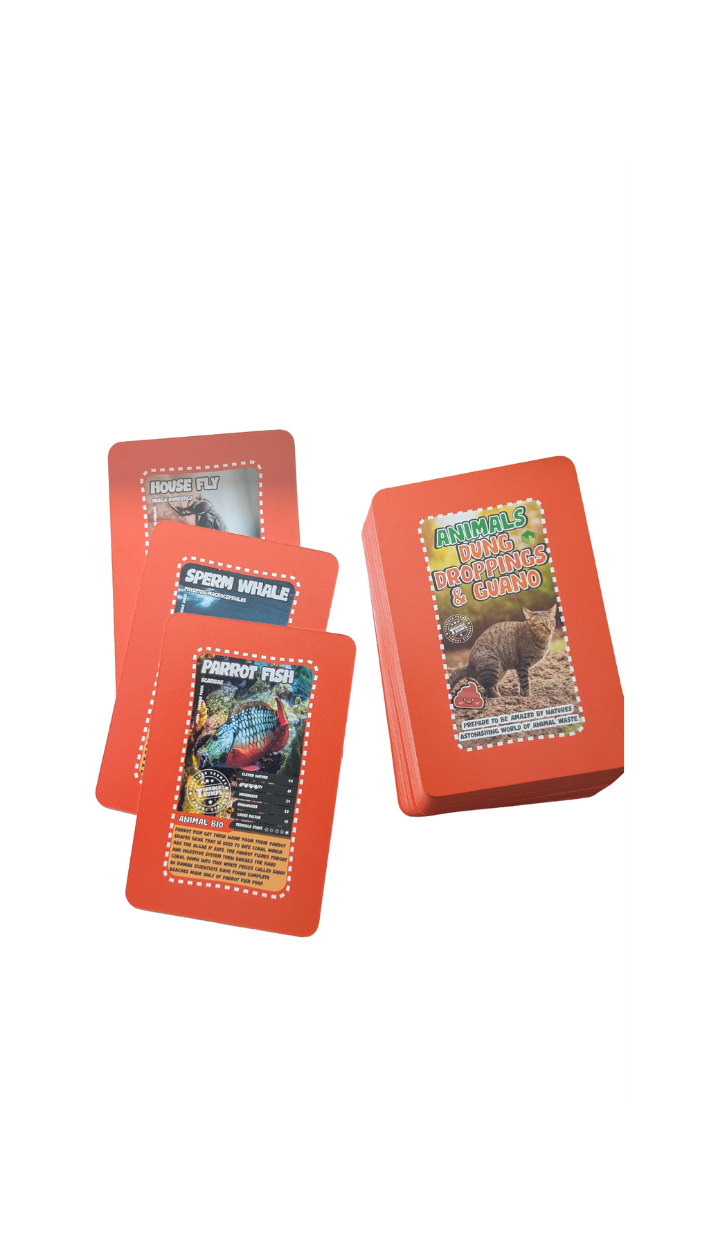 Dung Droppings and Guano - The Disgusting Card Game (Ages 6 -12)