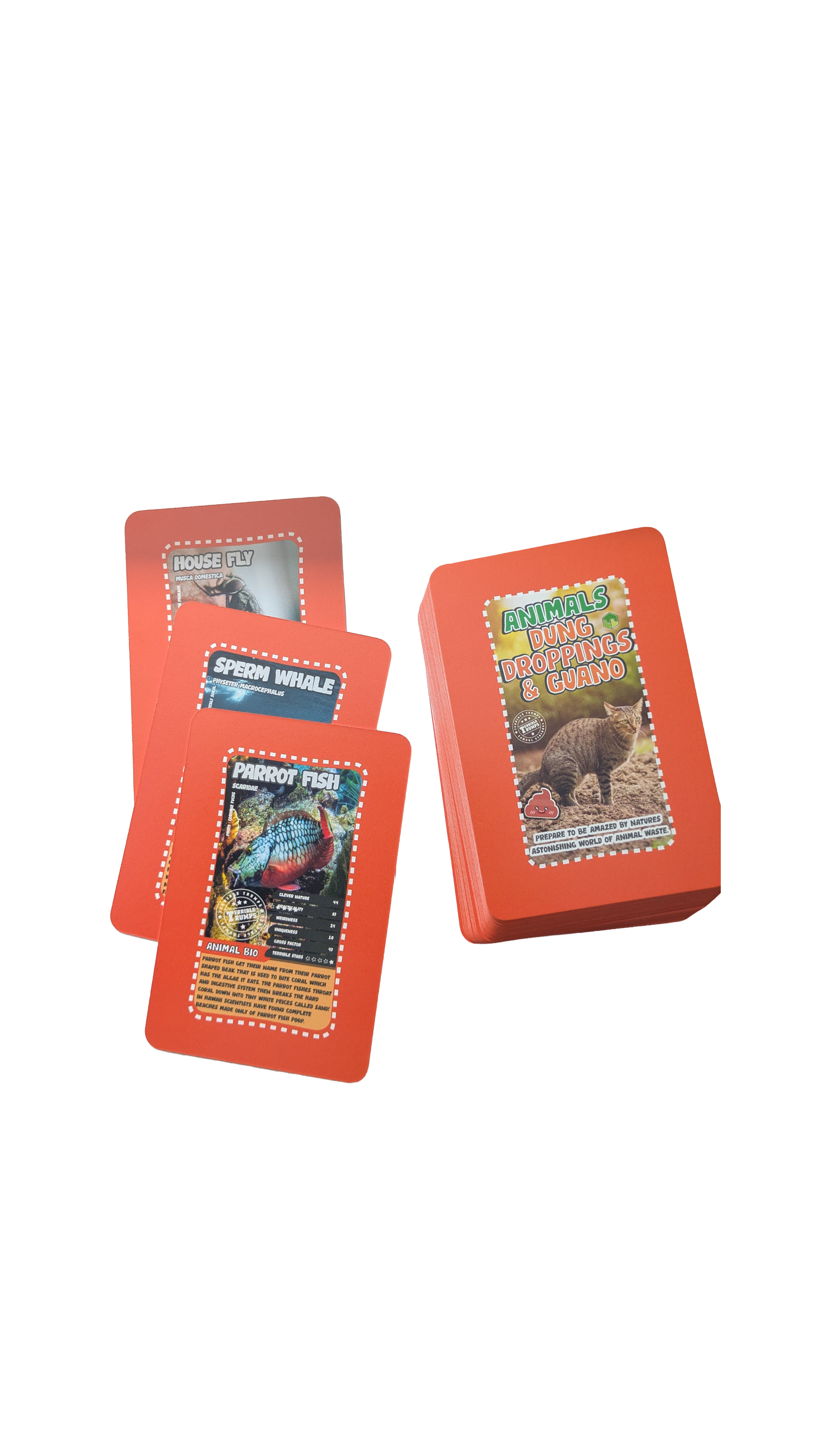 Dung Droppings and Guano - The Disgusting Card Game (Ages 6 -12)