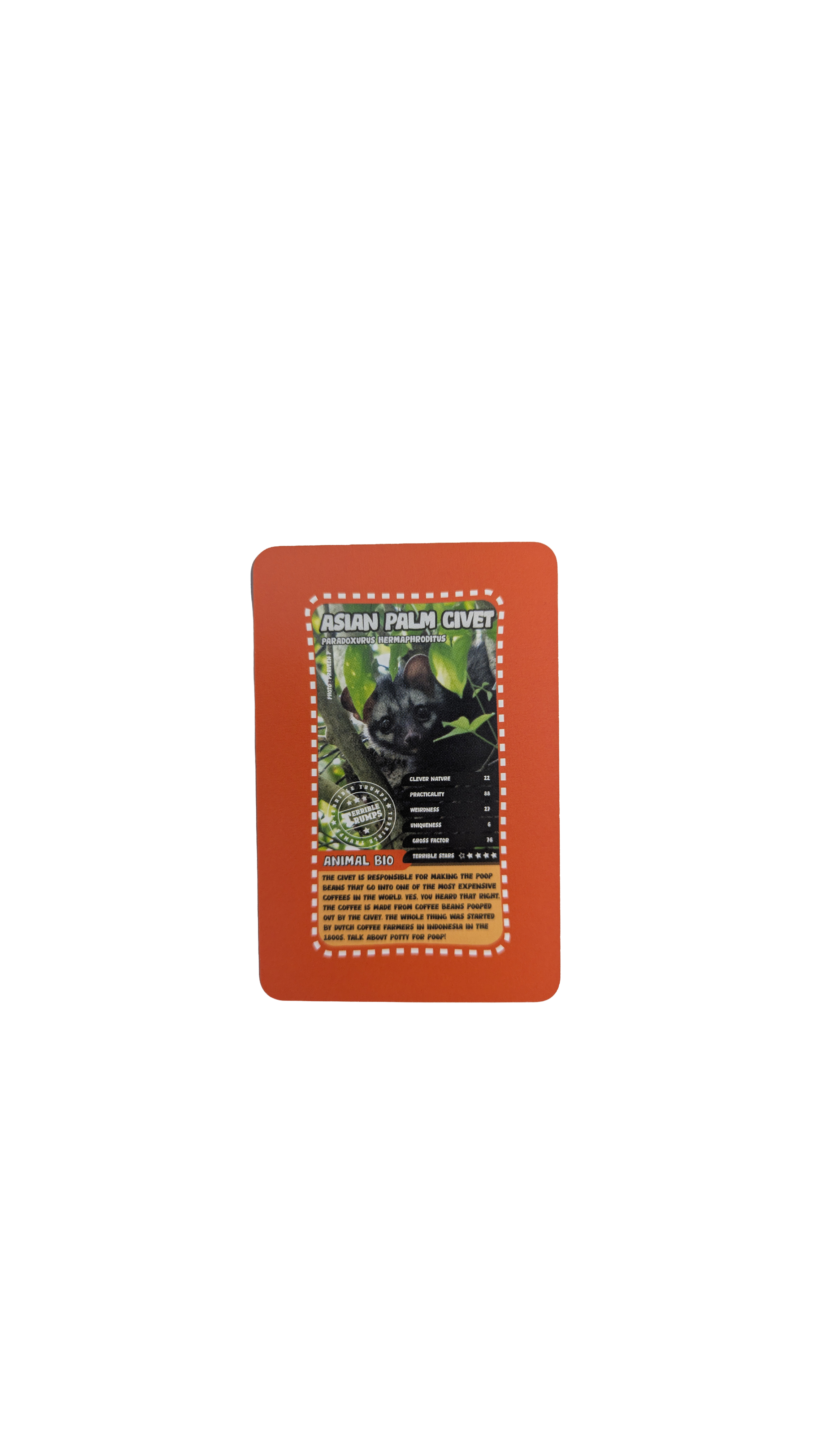 Dung Droppings and Guano - The Disgusting Card Game (Ages 6 -12)