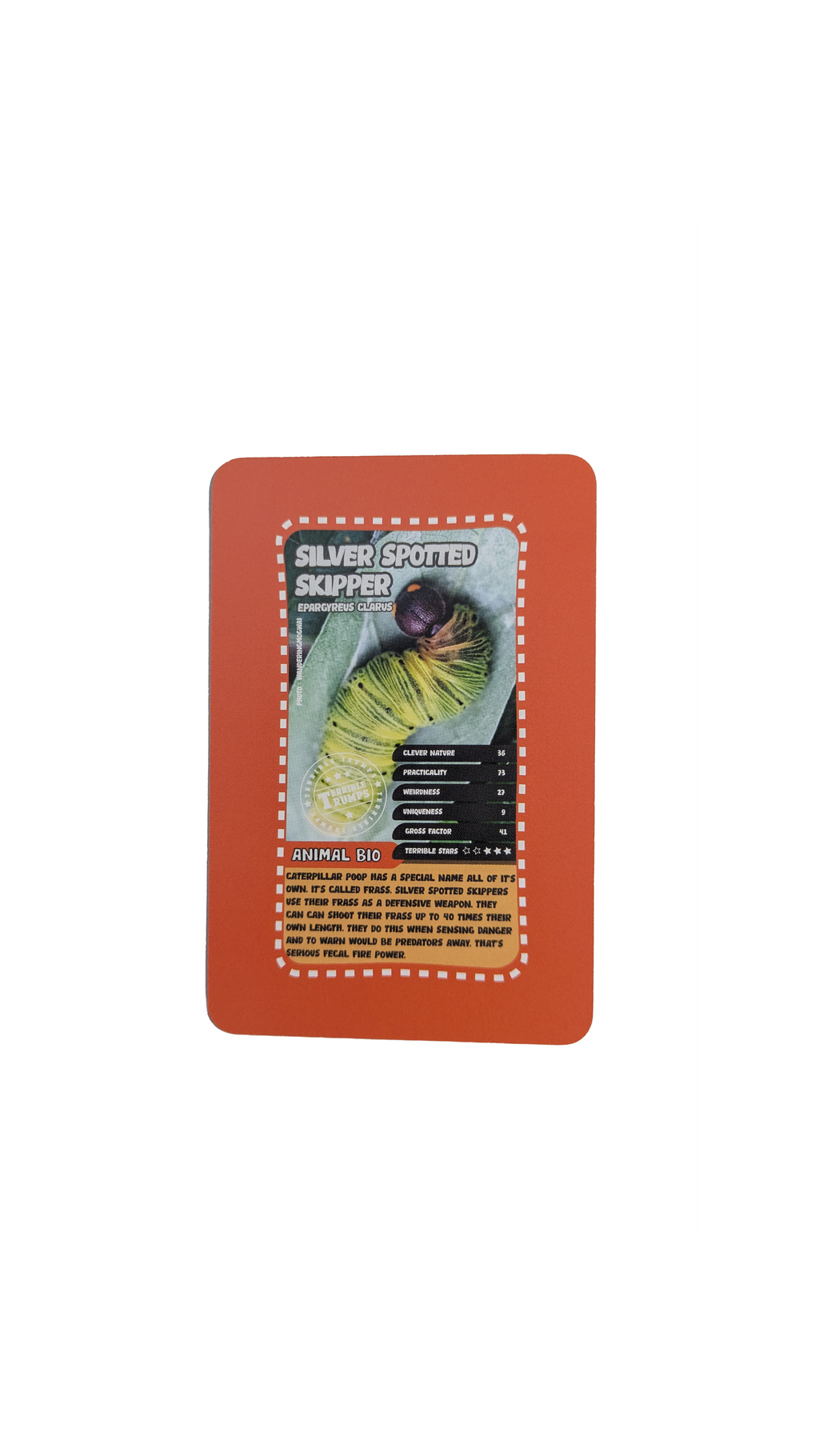 Dung Droppings and Guano - The Disgusting Card Game (Ages 6 -12)